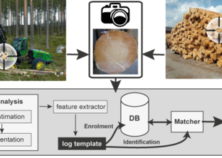 Biometric wood log tracking using end face images
