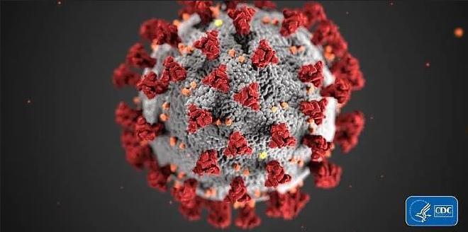 Corona Virus